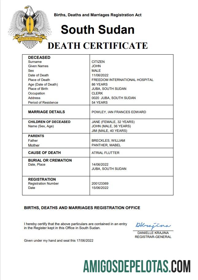 Realista modelo Word e PDF de certidão de óbito de registro vital do Sudão do Sul